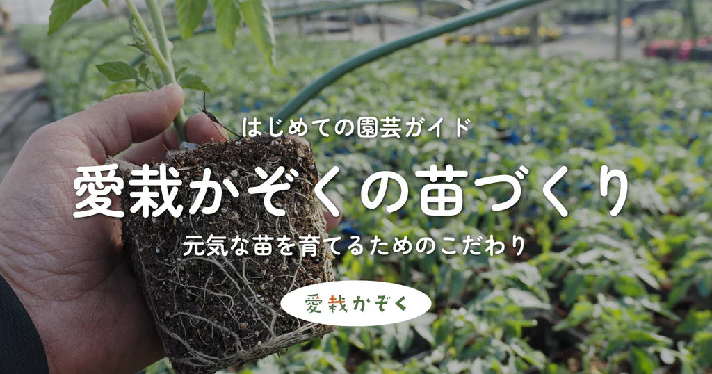 愛栽かぞくの苗づくり