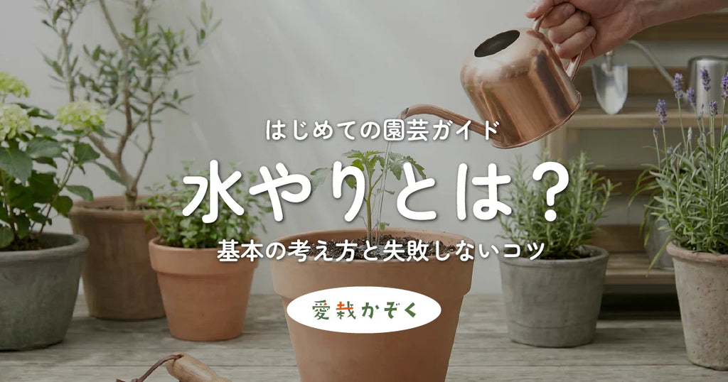 水やりとは?