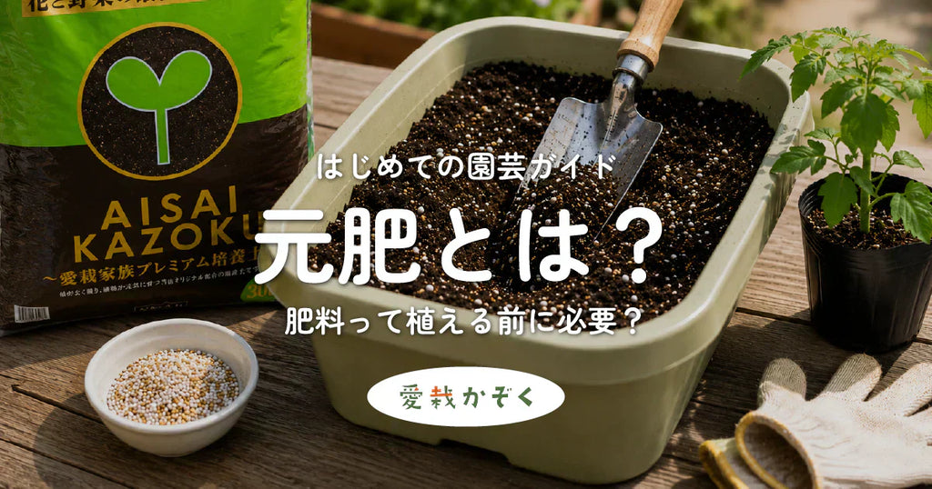 元肥とは?