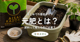 元肥とは?
