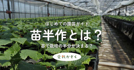 苗半作とは?