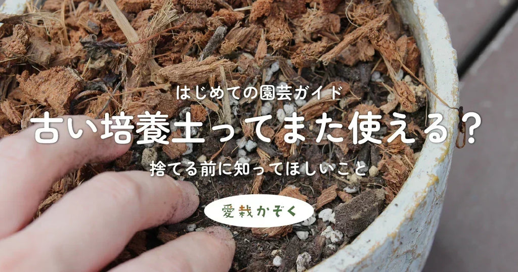 古い培養土ってまた使える?