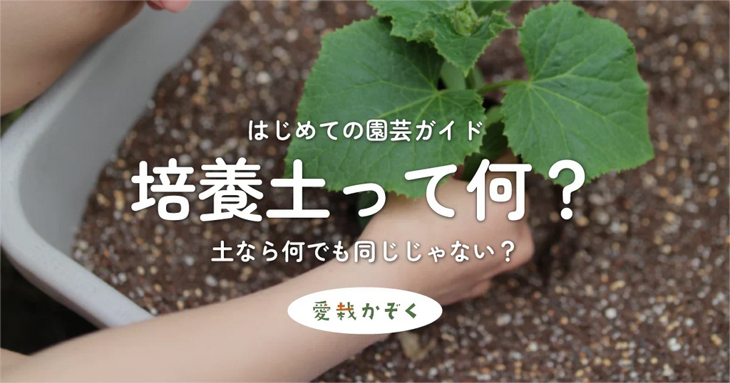 培養土って何?