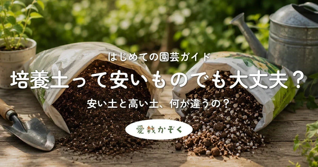 培養土って安いものでも大丈夫?
