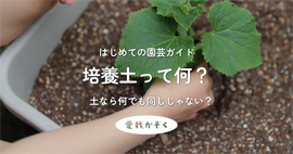 培養土って何?
