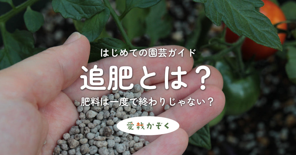 追肥とは?