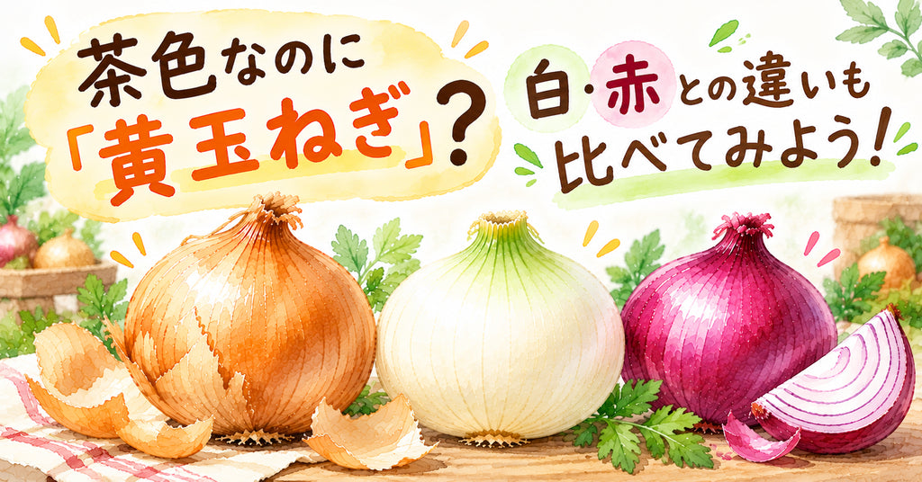 茶色なのに「黄玉ねぎ」?