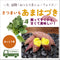 あまはづき/ねっとり系|さつまいも苗|10本束|品種登録番号:第30266号 (海外持出禁止)