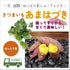 あまはづき/ねっとり系|さつまいも苗|10本束|品種登録番号:第30266号 (海外持出禁止)