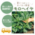 モロヘイヤ|葉物野菜