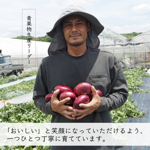 ケルたまルビー|赤たまねぎ|青果|燦燦ファーム