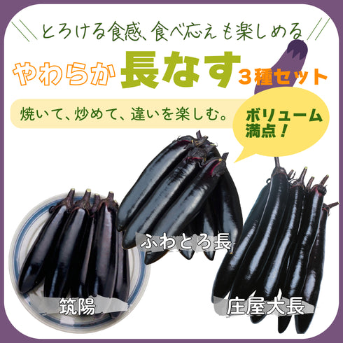 やわらか長なす3種セット|なす苗セット