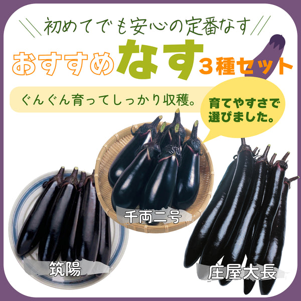 おすすめなす3種セット|なす苗セット