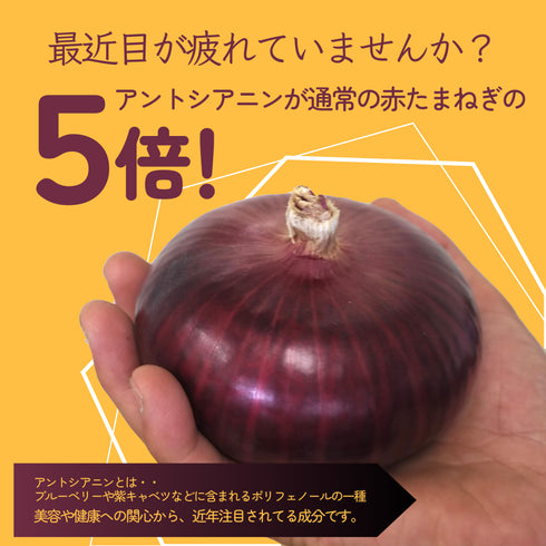 ケルたまルビー|赤たまねぎ|青果|燦燦ファーム