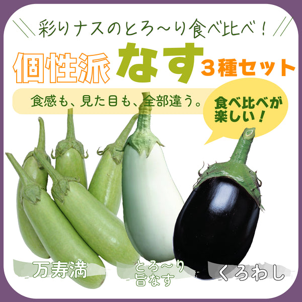 個性派なす3種セット|なす苗セット