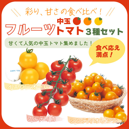 フルーツ中玉トマト3種セット|中玉トマト苗セット