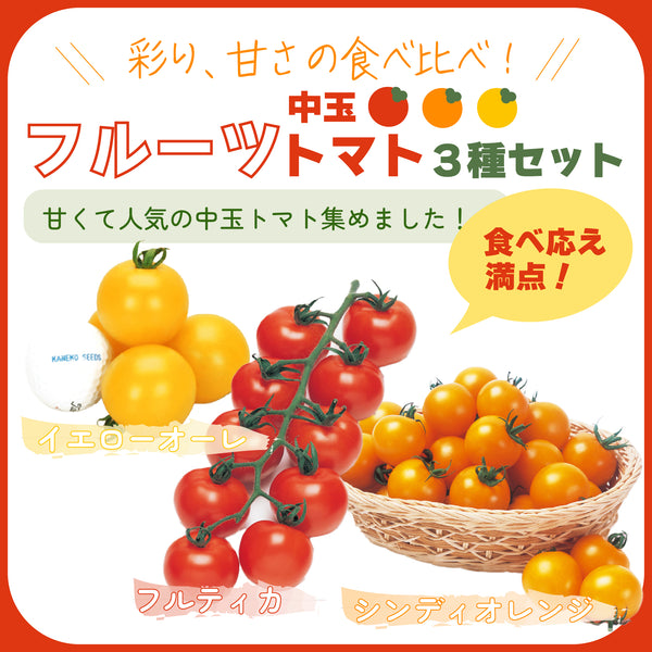 フルーツ中玉トマト3種セット|中玉トマト苗セット