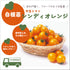 シンディオレンジ|中玉トマト苗|自根苗