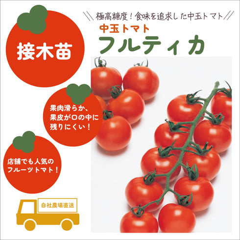 フルーツ中玉トマト3種セット|中玉トマト苗セット