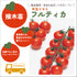 フルーツ中玉トマト3種セット|中玉トマト苗セット