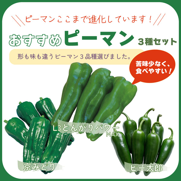 おすすめピーマン3種セット|ピーマン苗セット