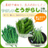 やさしいとうがらし3種セット|とうがらし苗セット