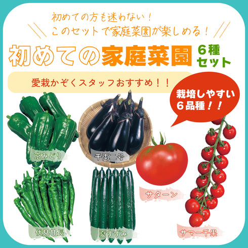 初めての家庭菜園6種セット|夏野菜苗セット|ミニトマト・大玉トマト・きゅうり・なす・ピーマン・とうがらし