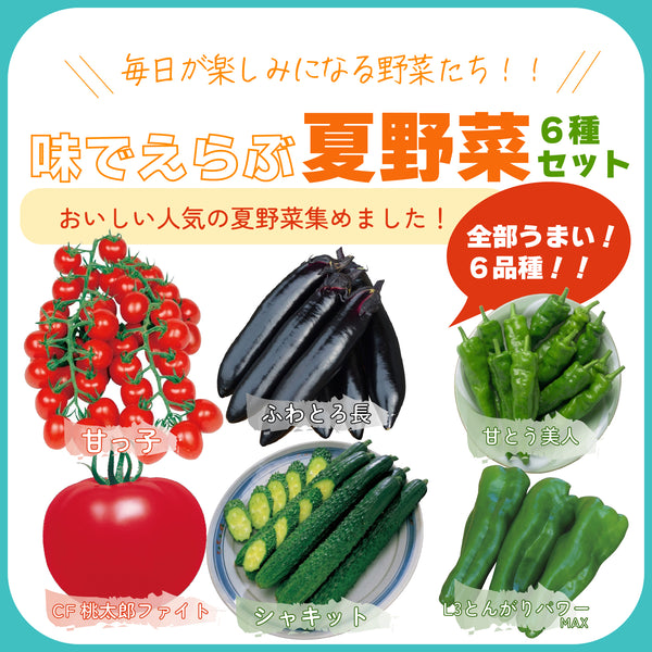 味でえらぶ夏野菜6種セット|夏野菜苗セット|ミニトマト・大玉トマト・きゅうり・なす・ピーマン・とうがらし