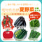 味でえらぶ夏野菜6種セット|夏野菜苗セット|ミニトマト・大玉トマト・きゅうり・なす・ピーマン・とうがらし