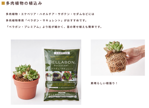 ベラボン・サキュレント|ヤシ培養資材|多肉植込み用 ※本商品は送料込み🚛