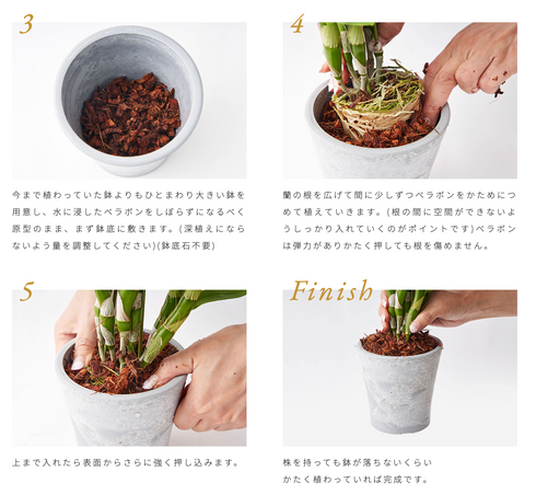 あく抜きベラボンMサイズ 4L・20L・60L|ヤシ培養資材|植え込み・土壌改良用※本商品は送料込み🚛
