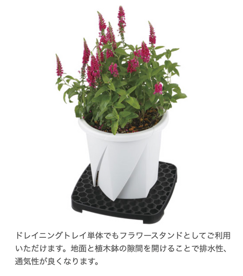 BUCKET ENJOY 10型 |園芸用バケツ|水やりも植え替えもこれ一つ