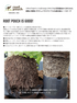Root Pouch(ルーツポーチ)|不織布製植木鉢