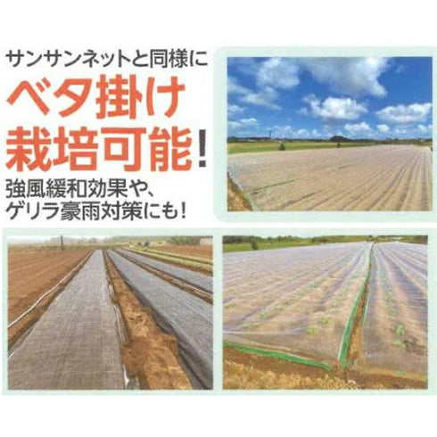 小影、夏|サンサンネット・遮光ネット|夏の高温・葉焼け対策に