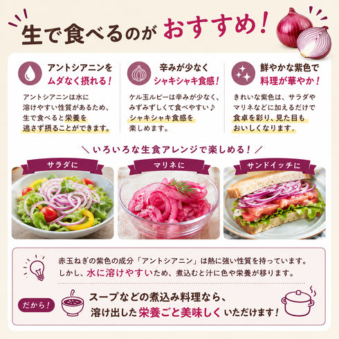 ケルたまルビー|赤たまねぎ|青果|燦燦ファーム