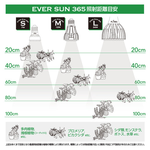 EVER SUN 365 S|植物育成用ライト|7W|ブラック・ホワイト