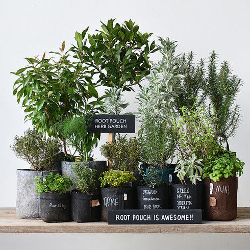 Root Pouch(ルーツポーチ)|不織布製植木鉢
