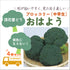おはよう® |ブロッコリー苗4株セット|中早生|頂花蕾専用