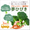 夢ひびき(おかわりクン) |ブロッコリー苗4株セット|極早生|頂・側枝花蕾兼用