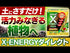 X ENERGY(エックスエナジー)ダイレクトアンプルタイプ35ml×10|バイオスティミュラント資材|土にさすだけ