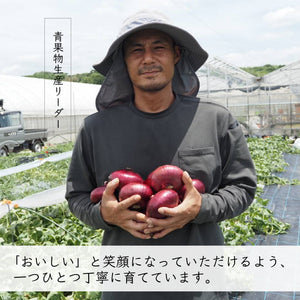 ケルたまルビー｜赤たまねぎ｜青果｜燦燦ファーム