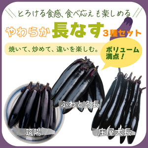 やわらか長なす３種セット｜なす苗セット