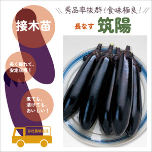 おすすめなす３種セット｜なす苗セット