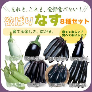 欲ばりなす８種セット｜なす苗セット