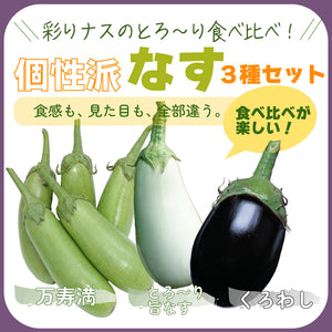 個性派なす３種セット｜なす苗セット