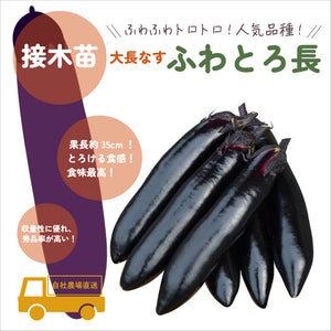 欲ばりなす８種セット｜なす苗セット
