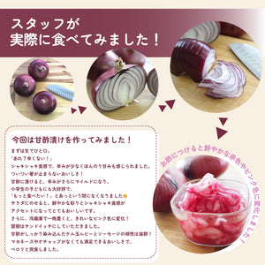 ケルたまルビー｜赤たまねぎ｜青果｜燦燦ファーム