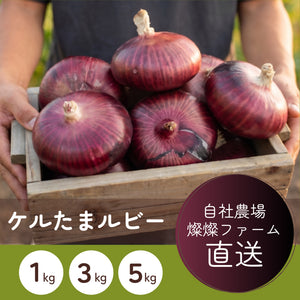 ケルたまルビー｜赤たまねぎ｜青果｜燦燦ファーム
