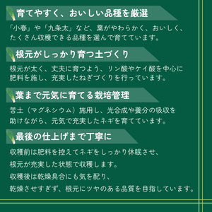 小春｜干ネギ苗（葉ねぎ）