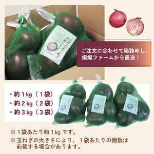 ケルたまルビー｜赤たまねぎ｜青果｜燦燦ファーム